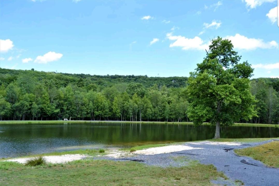 *Amenity-Filled Waterfront Oasis @Saw Creek Estates Near Waterfalls And Hiking* East Stroudsburg Ngoại thất bức ảnh
