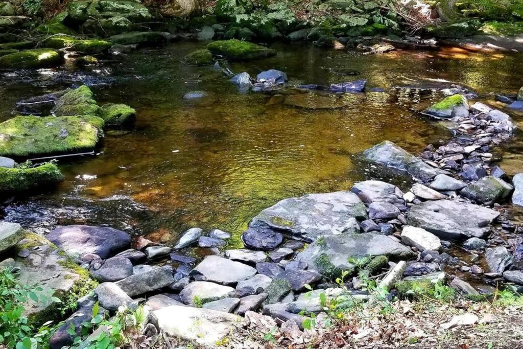 *Amenity-Filled Waterfront Oasis @Saw Creek Estates Near Waterfalls And Hiking* East Stroudsburg Ngoại thất bức ảnh